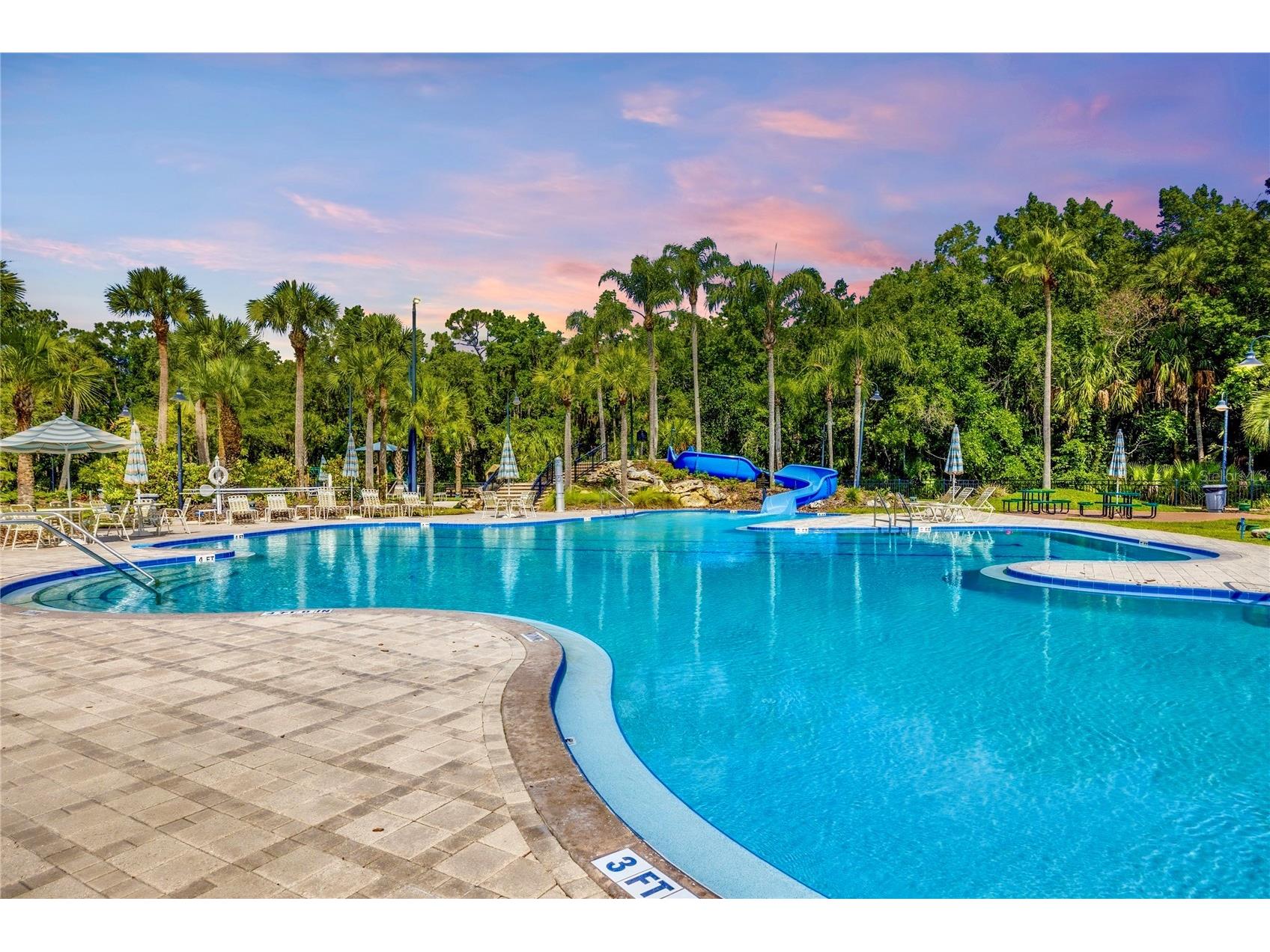 5125 Palm Springs Boulevard #1204 Tampa FL 33647 TB8523197 image4