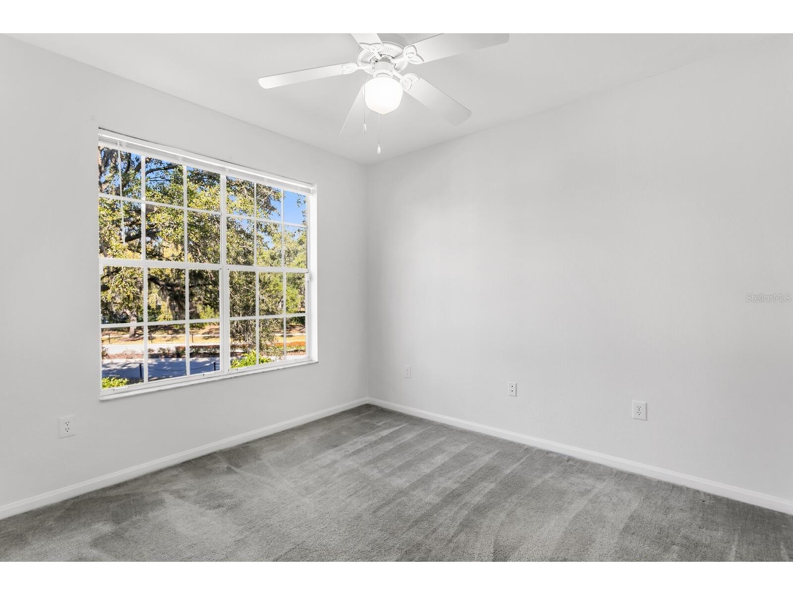 5125 Palm Springs Boulevard #12205 Tampa FL 33647 TB8472659 image27