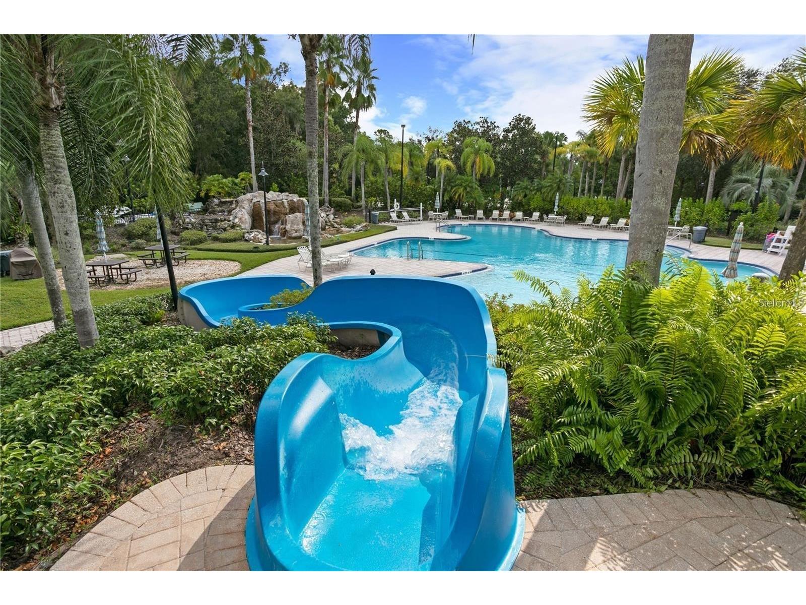 5125 Palm Springs Boulevard #12205 Tampa FL 33647 TB8472659 image46