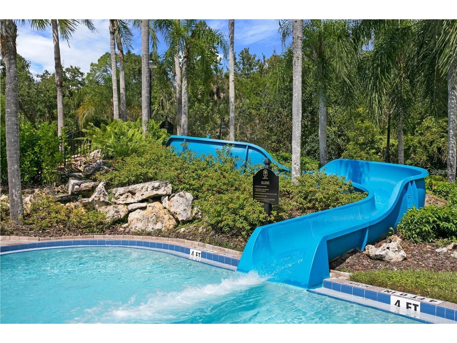 5125 Palm Springs Boulevard #12205 Tampa FL 33647 TB8472659 image47