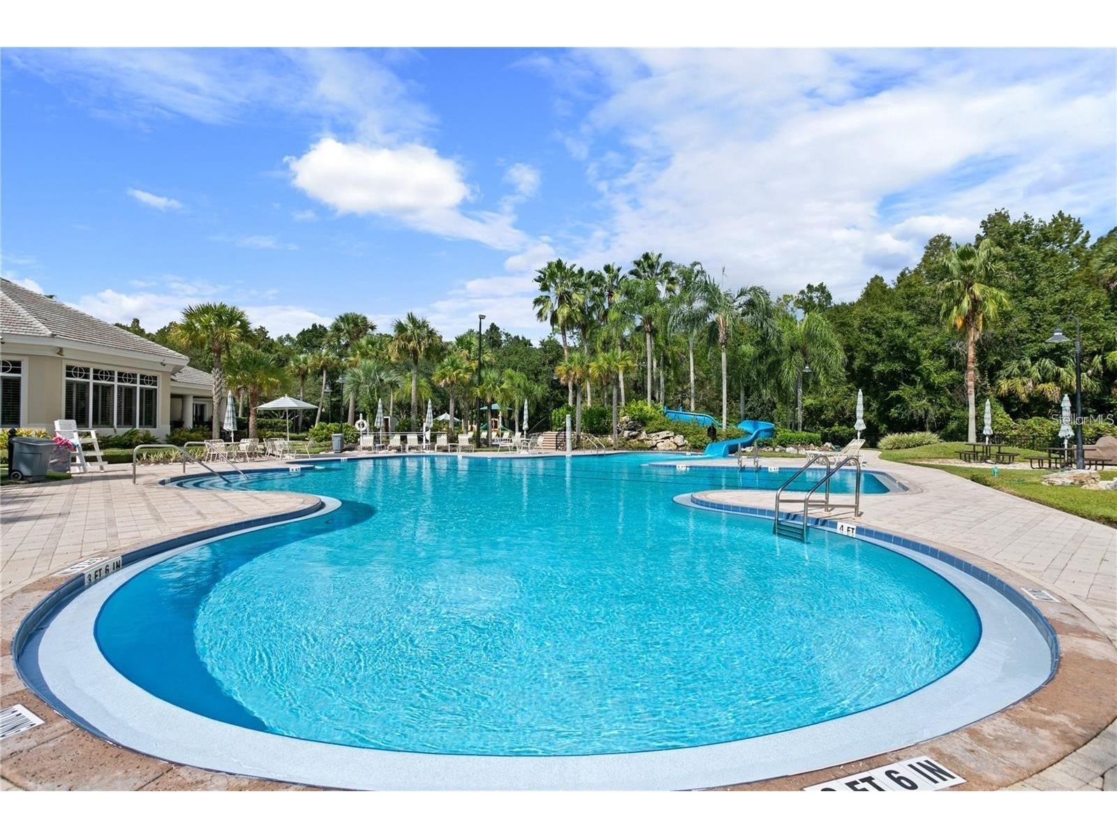 5125 Palm Springs Boulevard #12205 Tampa FL 33647 TB8472659 image49