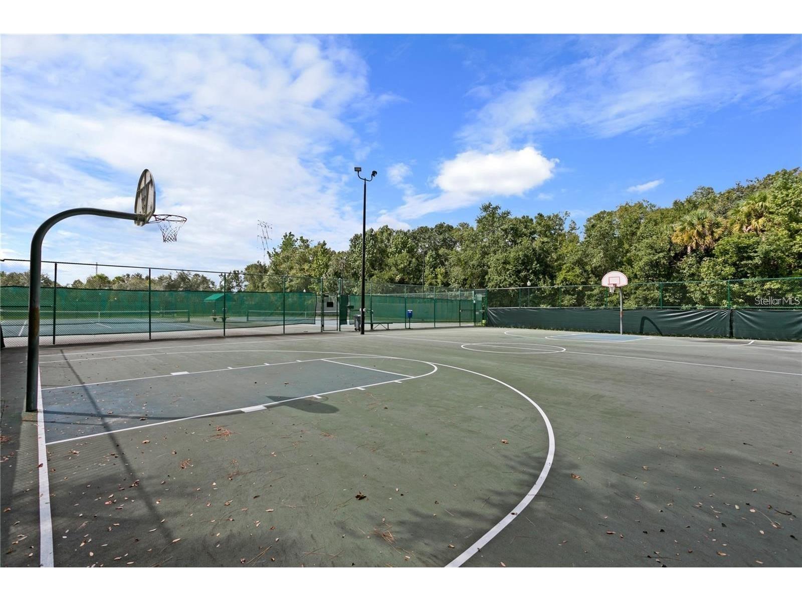 5125 Palm Springs Boulevard #12205 Tampa FL 33647 TB8472659 image50