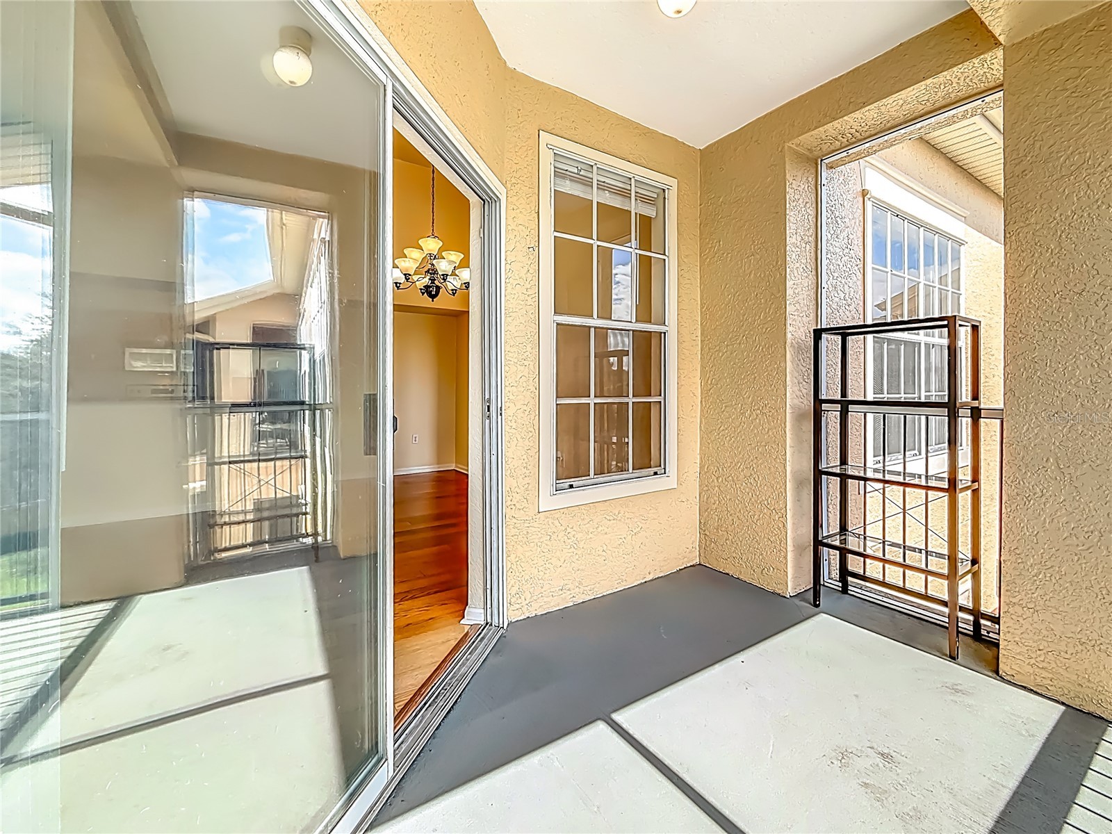 5125 Palm Springs Boulevard #12302 Tampa FL 33647 O6353716 image55