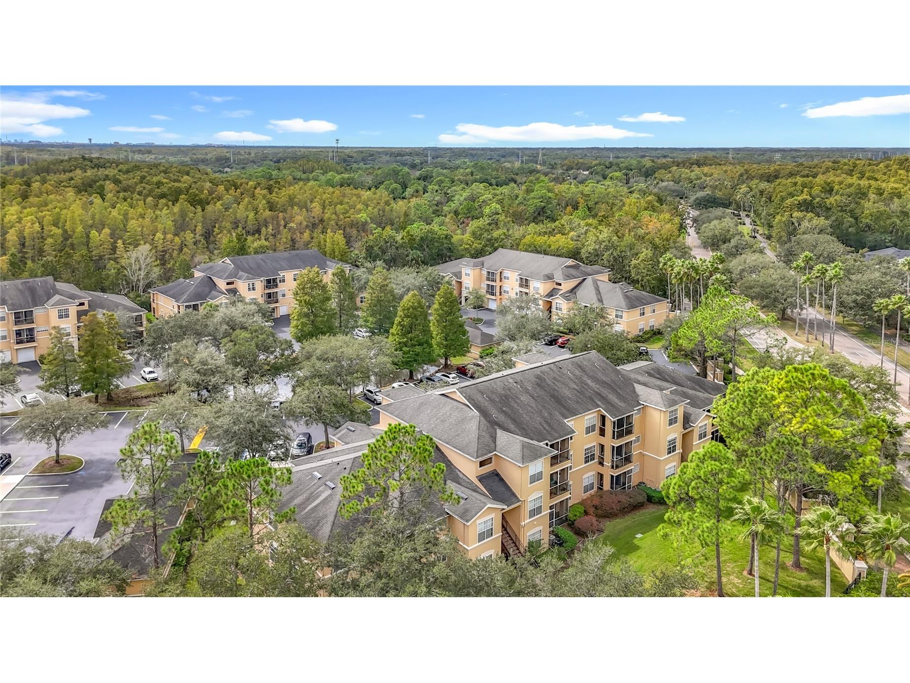 5125 Palm Springs Boulevard #12302 Tampa FL 33647 O6353716 image59