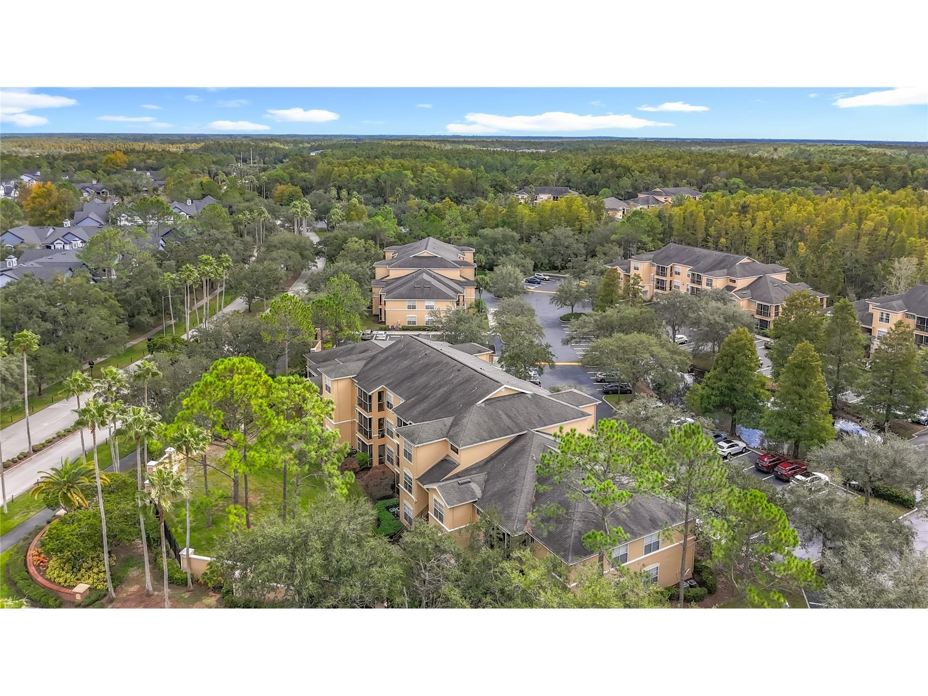 5125 Palm Springs Boulevard #12302 Tampa FL 33647 O6353716 image65