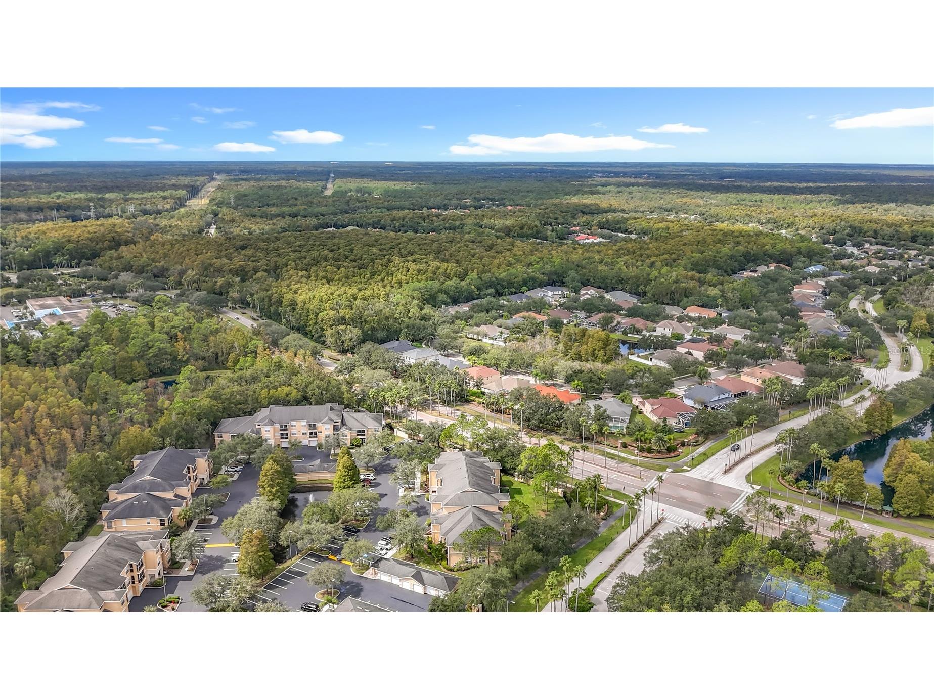 5125 Palm Springs Boulevard #12302 Tampa FL 33647 O6353716 image66