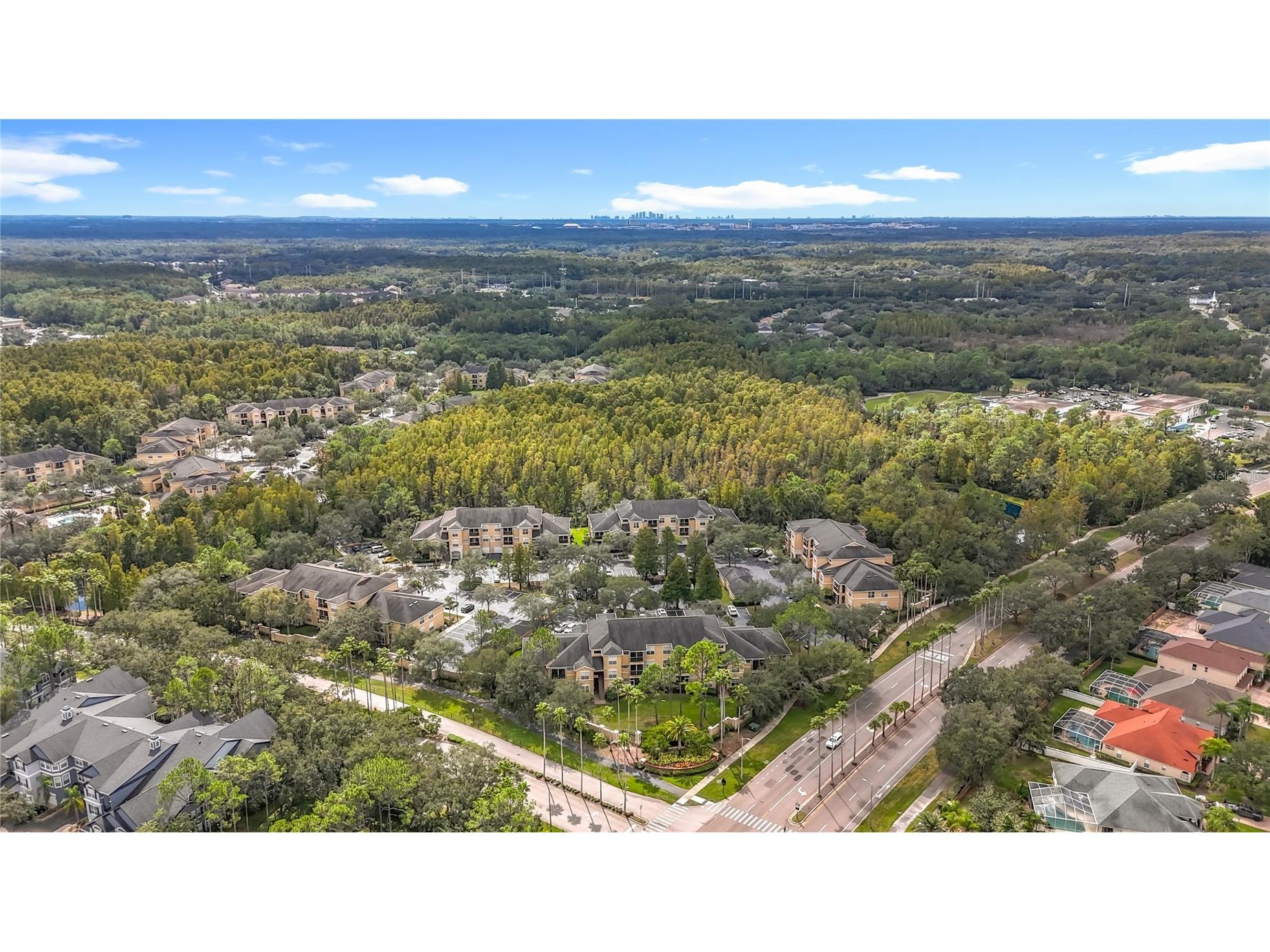 5125 Palm Springs Boulevard #12302 Tampa FL 33647 O6353716 image67