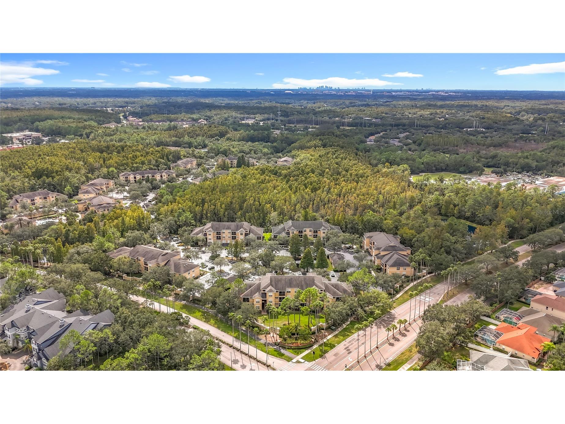 5125 Palm Springs Boulevard #12302 Tampa FL 33647 O6353716 image68