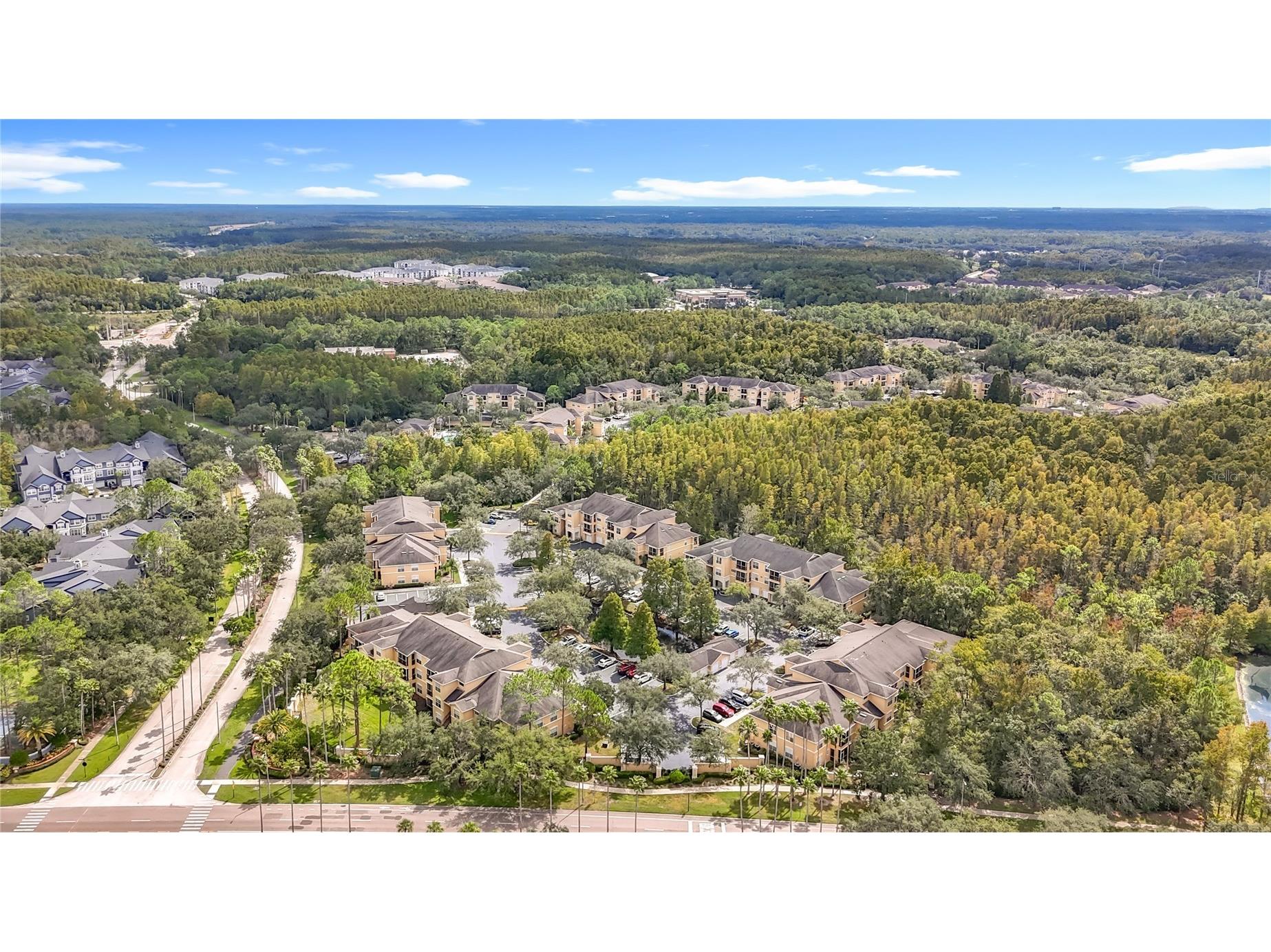 5125 Palm Springs Boulevard #12302 Tampa FL 33647 O6353716 image69