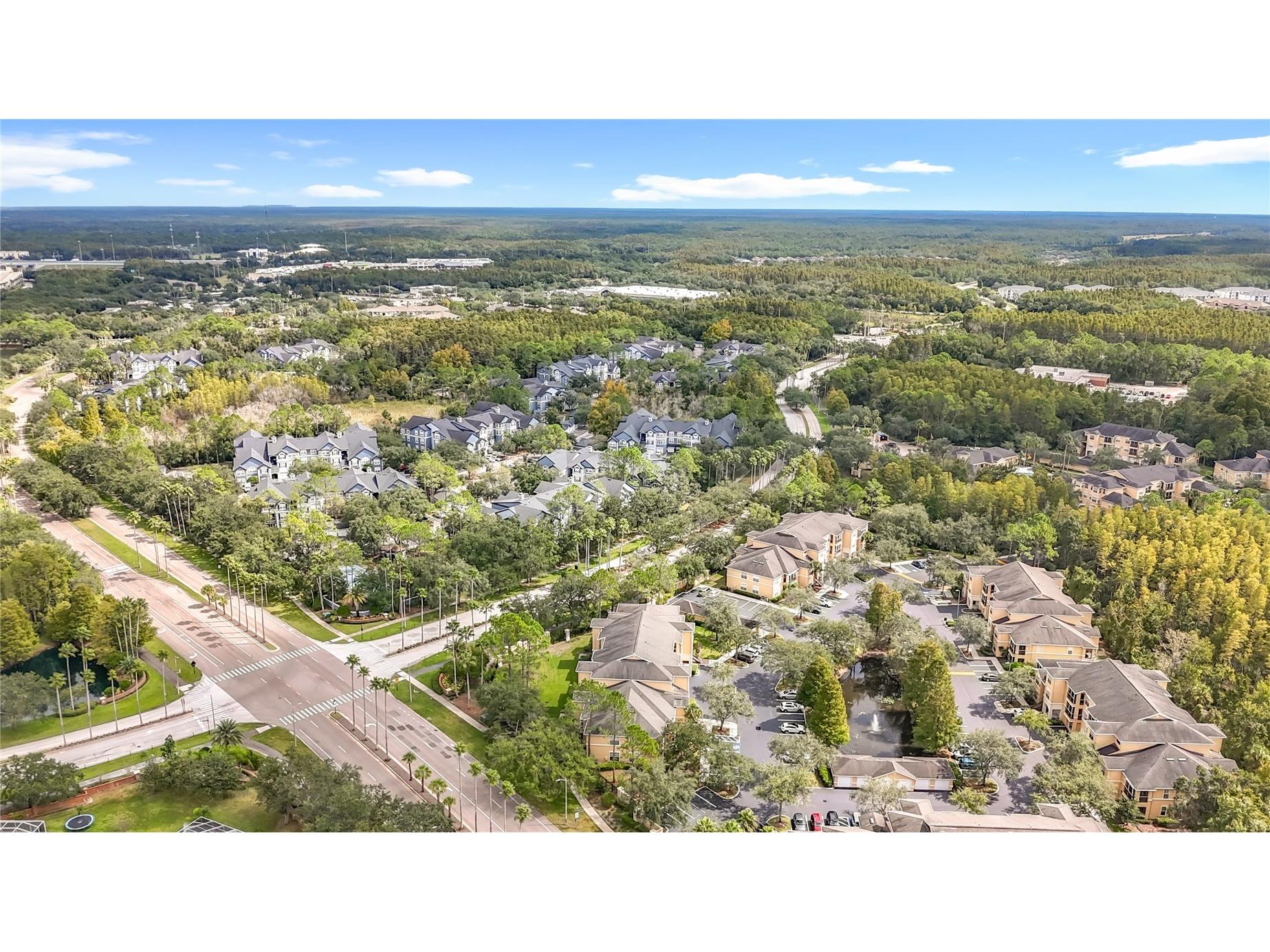 5125 Palm Springs Boulevard #12302 Tampa FL 33647 O6353716 image70