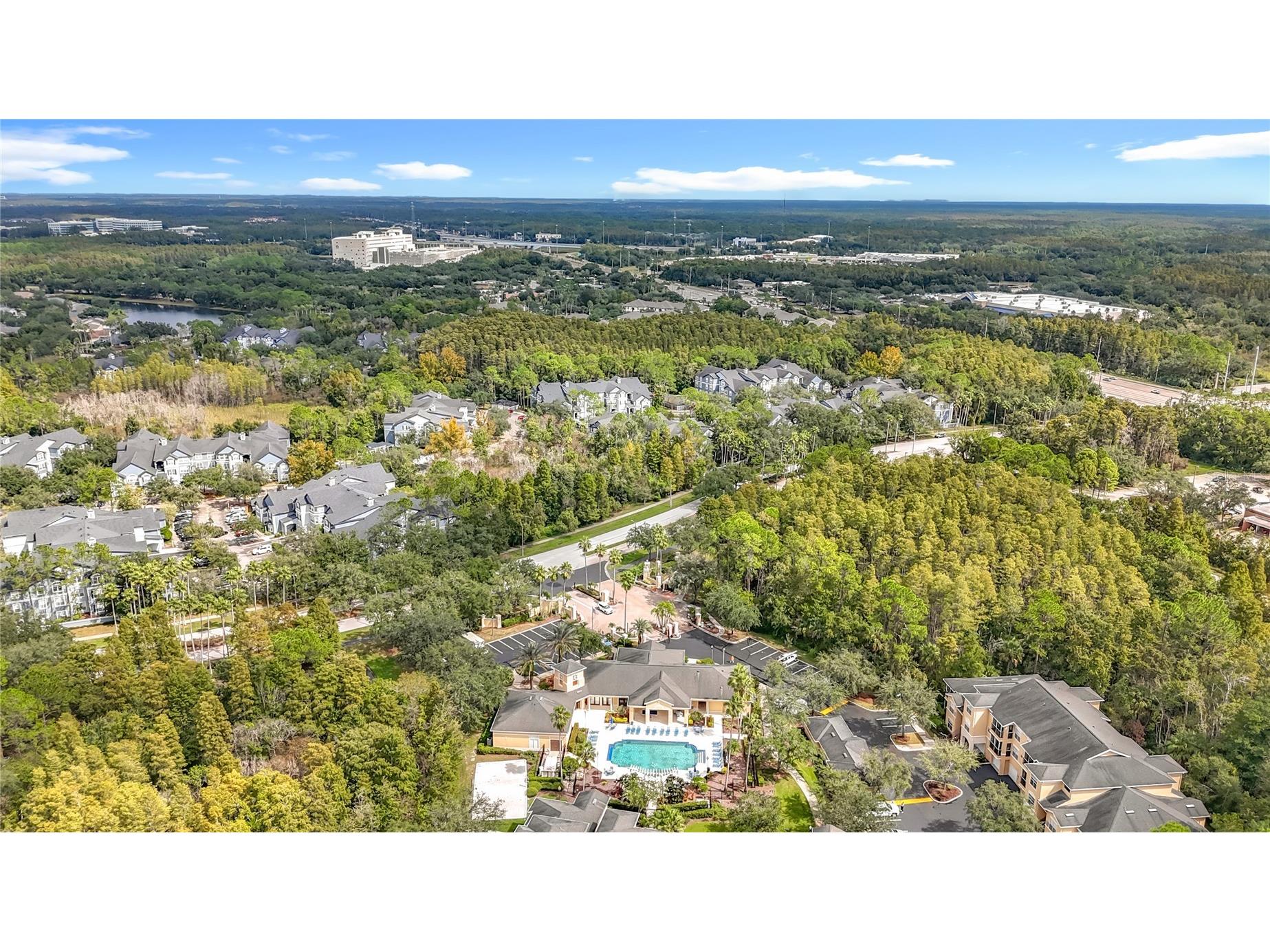 5125 Palm Springs Boulevard #12302 Tampa FL 33647 O6353716 image72