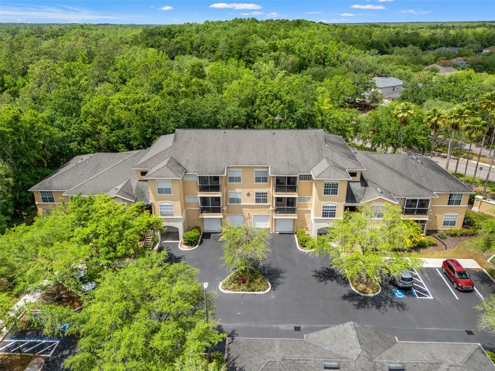 5125 Palm Springs Boulevard #13104 Tampa FL 33647 TB8497531 image1