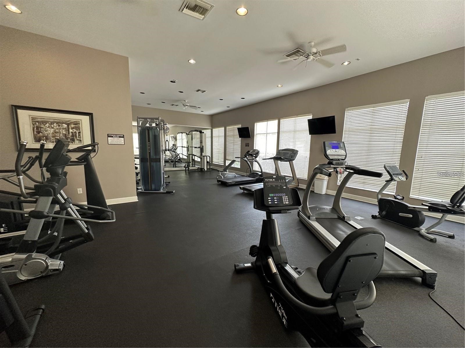 5125 Palm Springs Boulevard #13104 Tampa FL 33647 TB8497531 image40