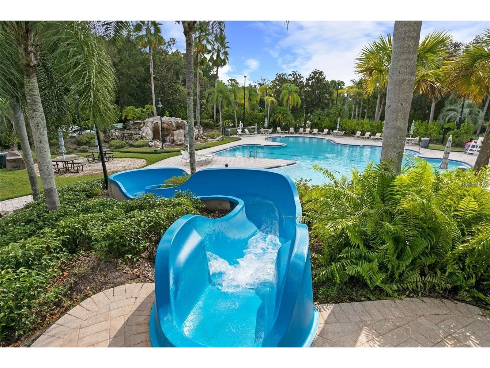 5125 Palm Springs Boulevard #13104 Tampa FL 33647 TB8497531 image47