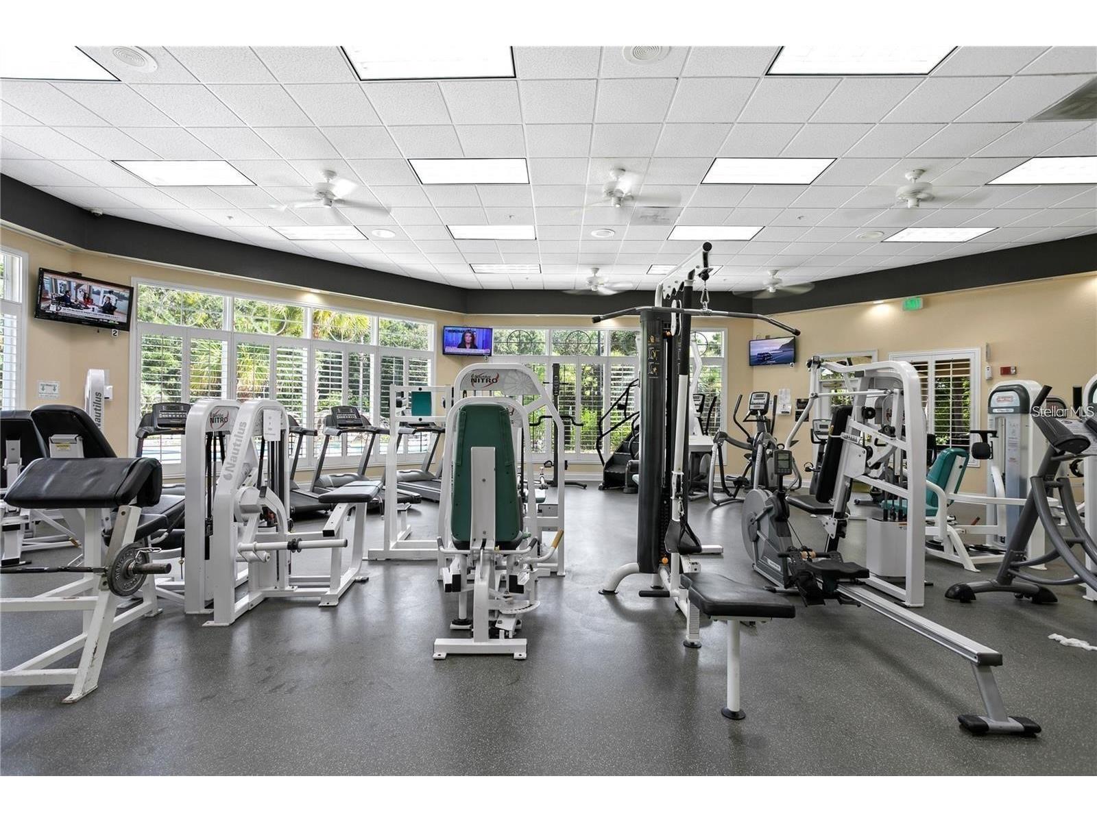 5125 Palm Springs Boulevard #13104 Tampa FL 33647 TB8497531 image51