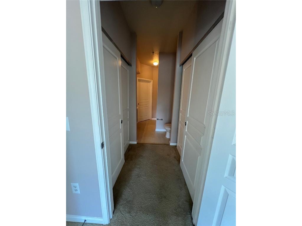 5125 Palm Springs Boulevard #13203 Tampa FL 33647 O6359549 image10
