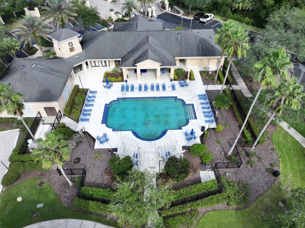 5125 Palm Springs Boulevard #13203 Tampa FL 33647 O6359549 image20