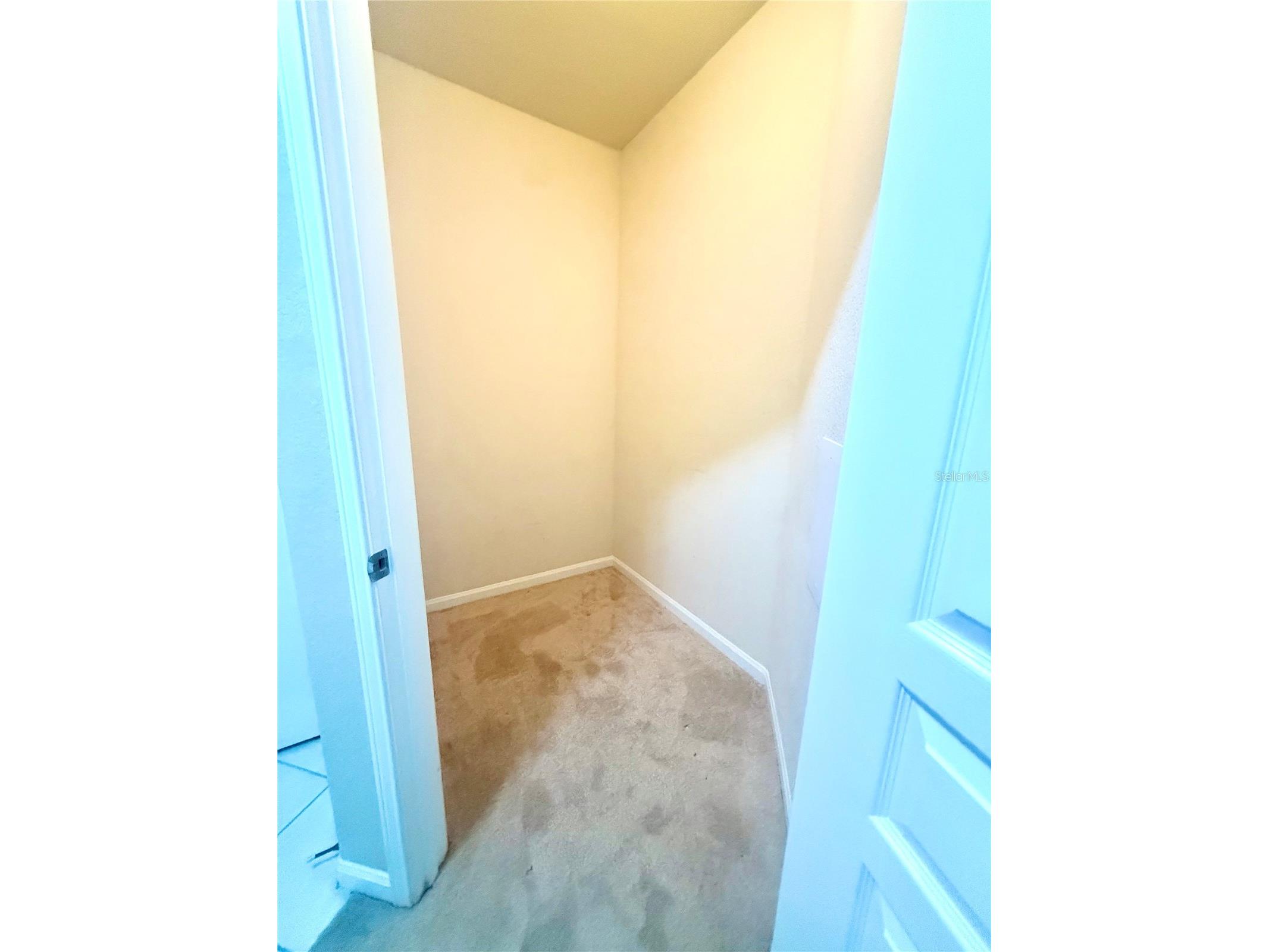 5125 Palm Springs Boulevard #13206 Tampa FL 33647 TB8480227 image10