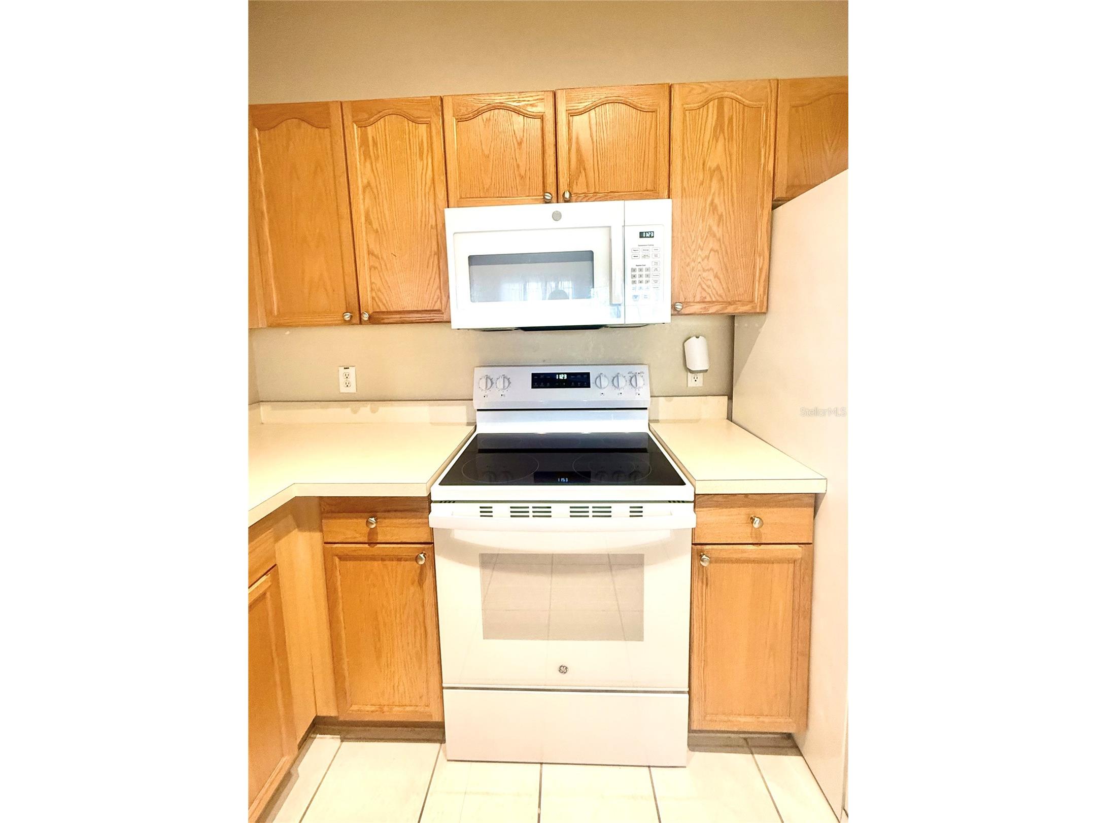 5125 Palm Springs Boulevard #13206 Tampa FL 33647 TB8480227 image14