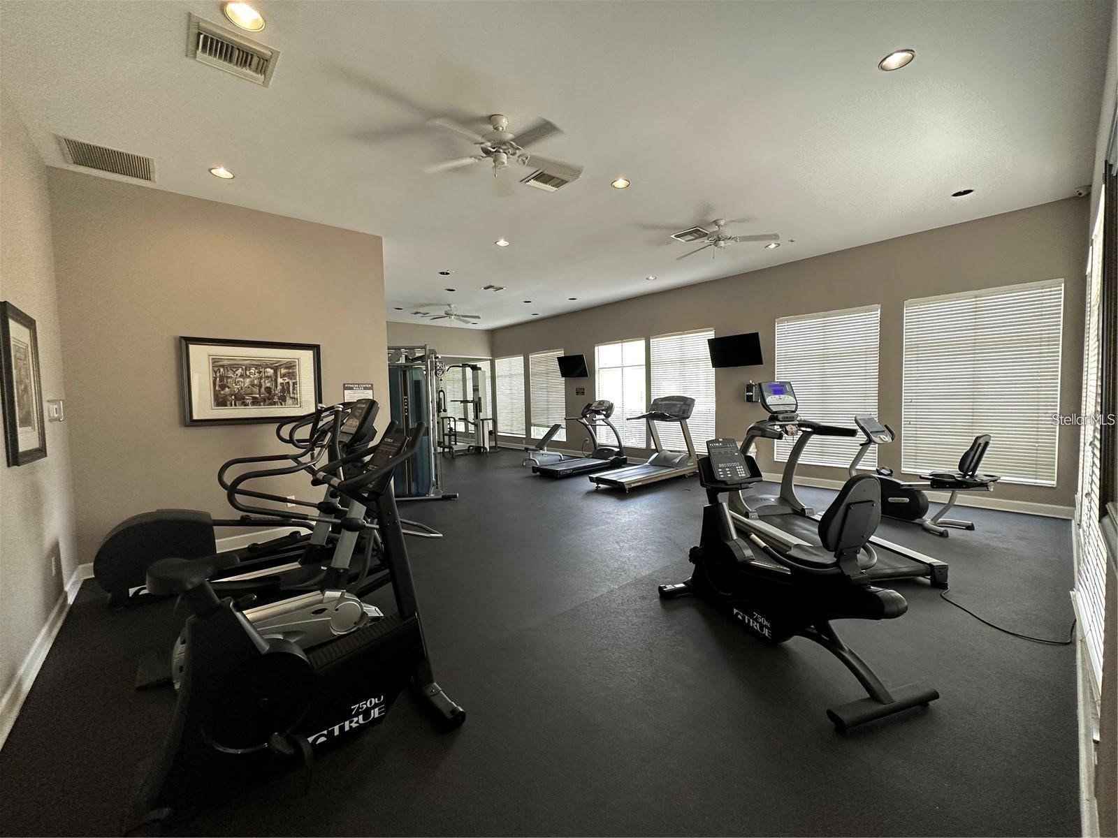 5125 Palm Springs Boulevard #13206 Tampa FL 33647 TB8480227 image21