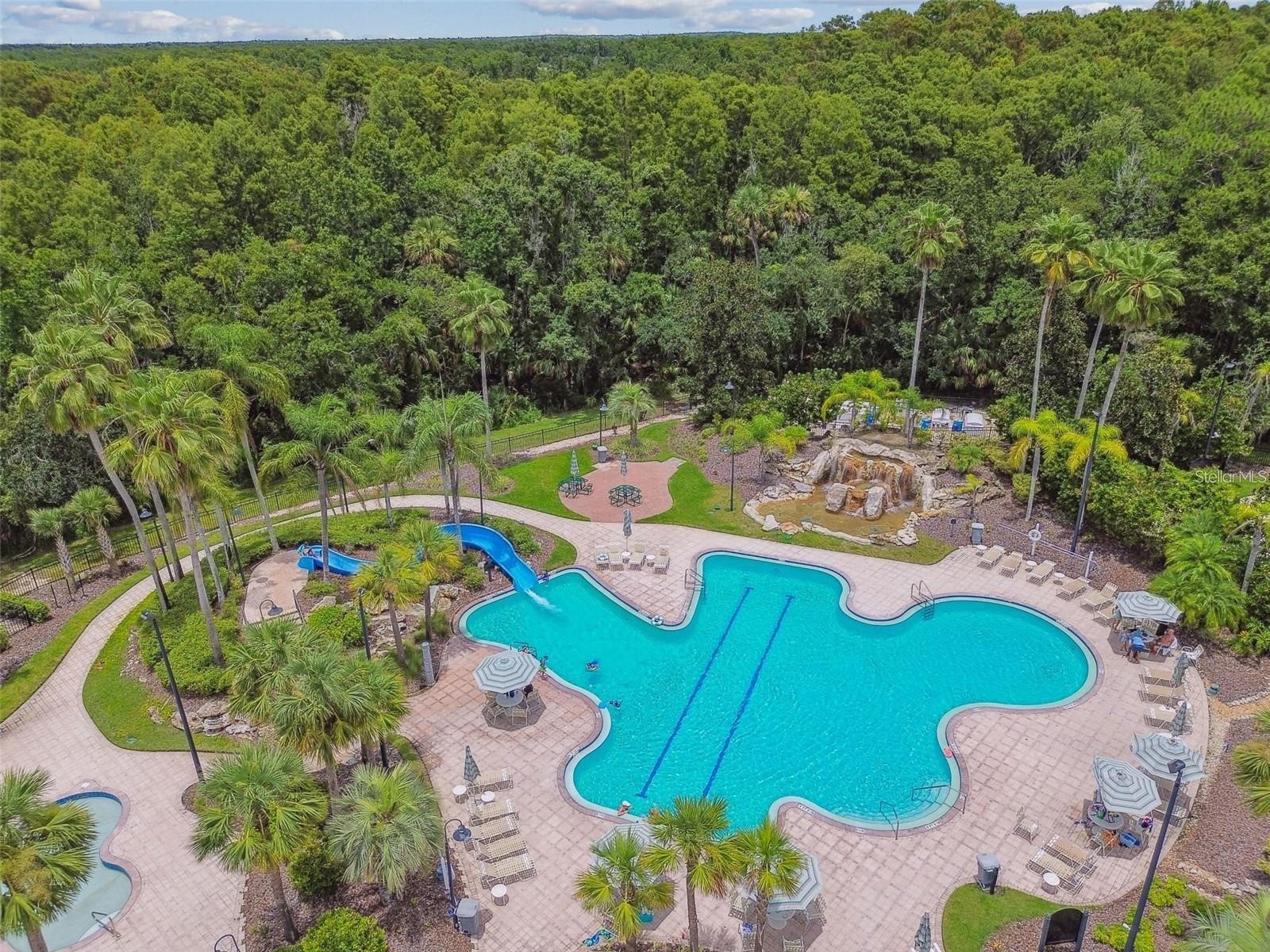 5125 Palm Springs Boulevard #13206 Tampa FL 33647 TB8480227 image27