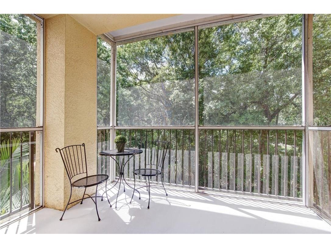 5125 Palm Springs Boulevard #13206 Tampa FL 33647 TB8480227 image3