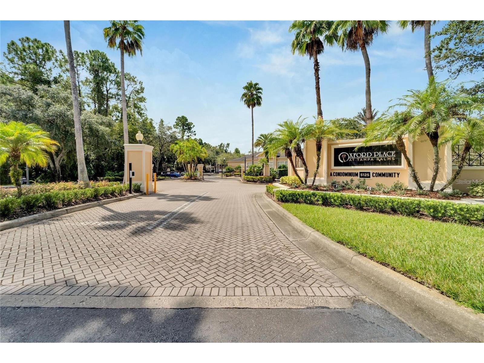 5125 Palm Springs Boulevard #13206 Tampa FL 33647 TB8480227 image30