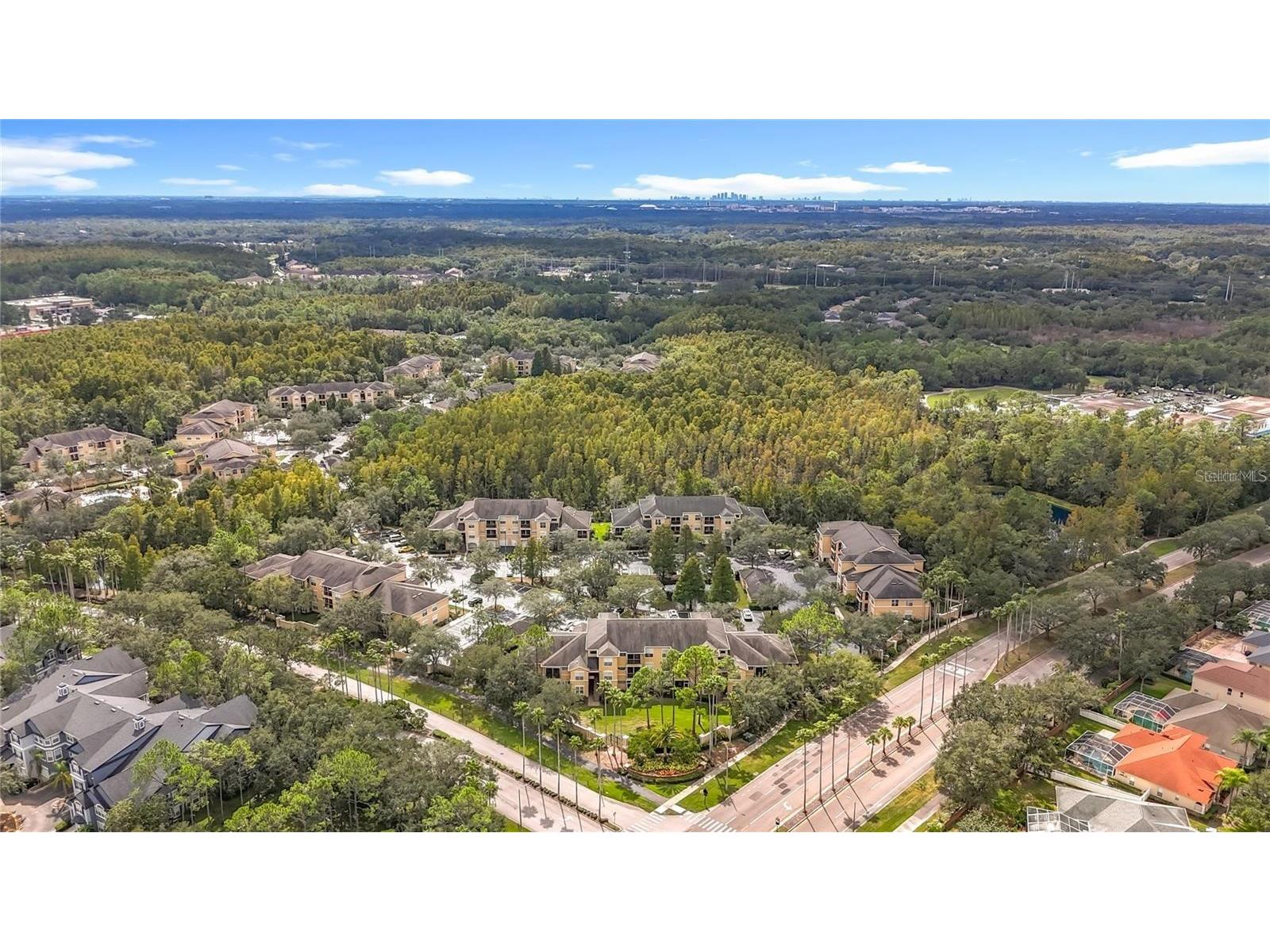 5125 Palm Springs Boulevard #13206 Tampa FL 33647 TB8480227 image31