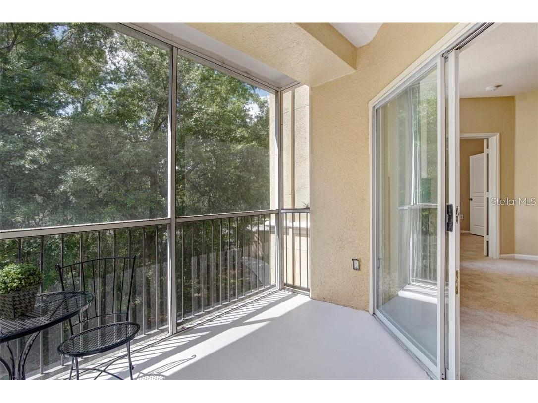 5125 Palm Springs Boulevard #13206 Tampa FL 33647 TB8480227 image4