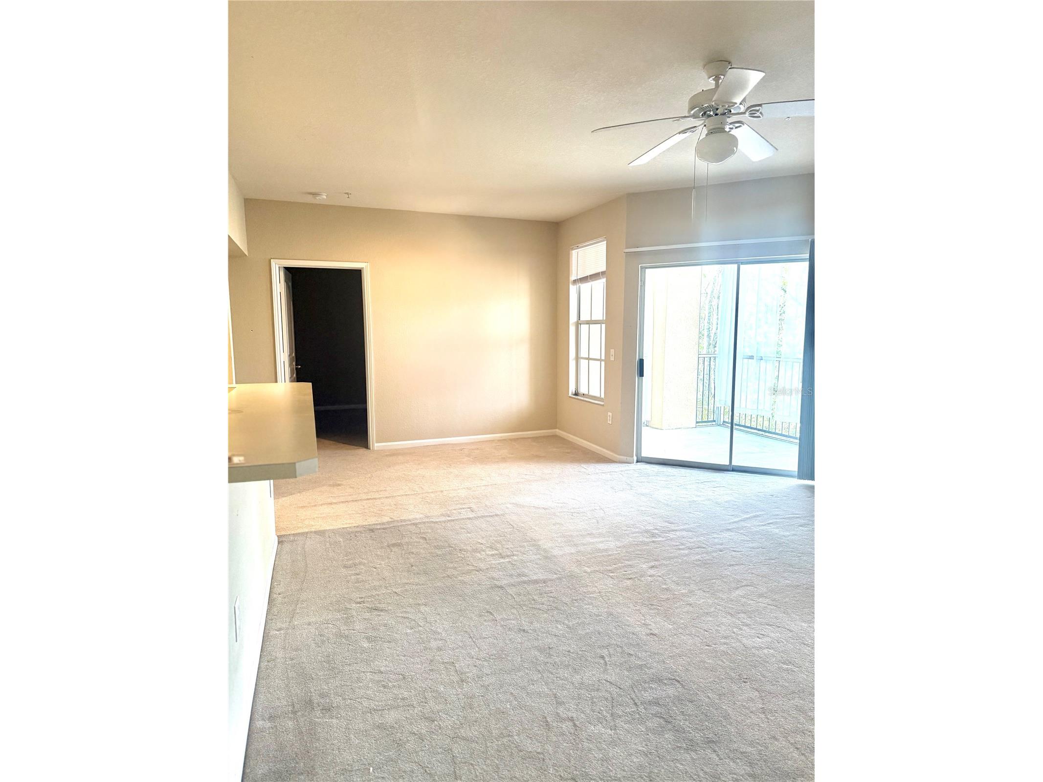 5125 Palm Springs Boulevard #13206 Tampa FL 33647 TB8480227 image6