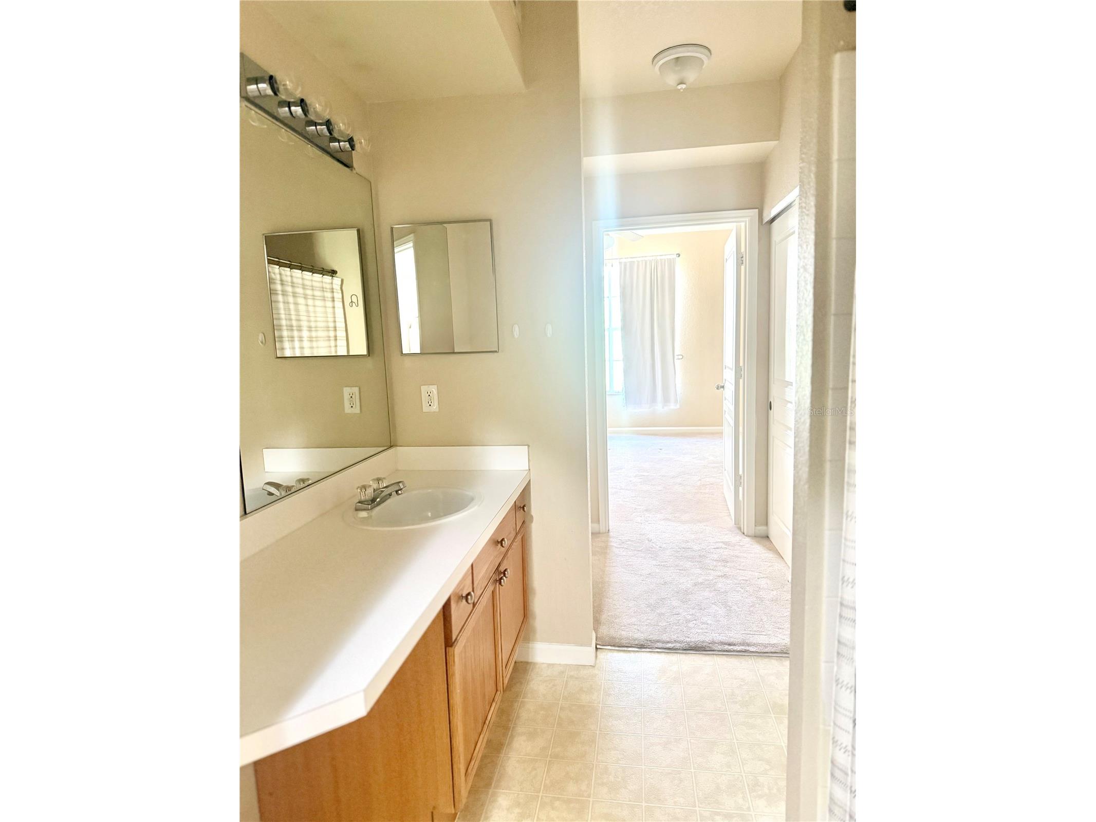 5125 Palm Springs Boulevard #13206 Tampa FL 33647 TB8480227 image8