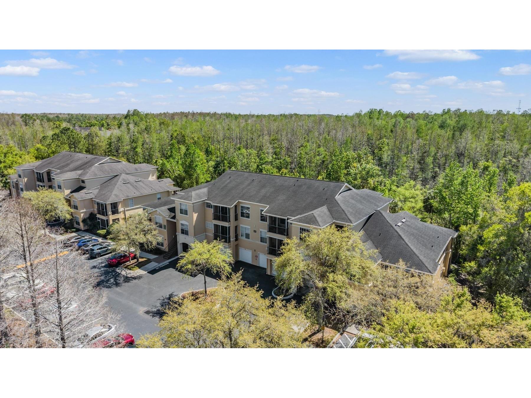 5125 Palm Springs Boulevard #14208 Tampa FL 33647 TB8490339 image30