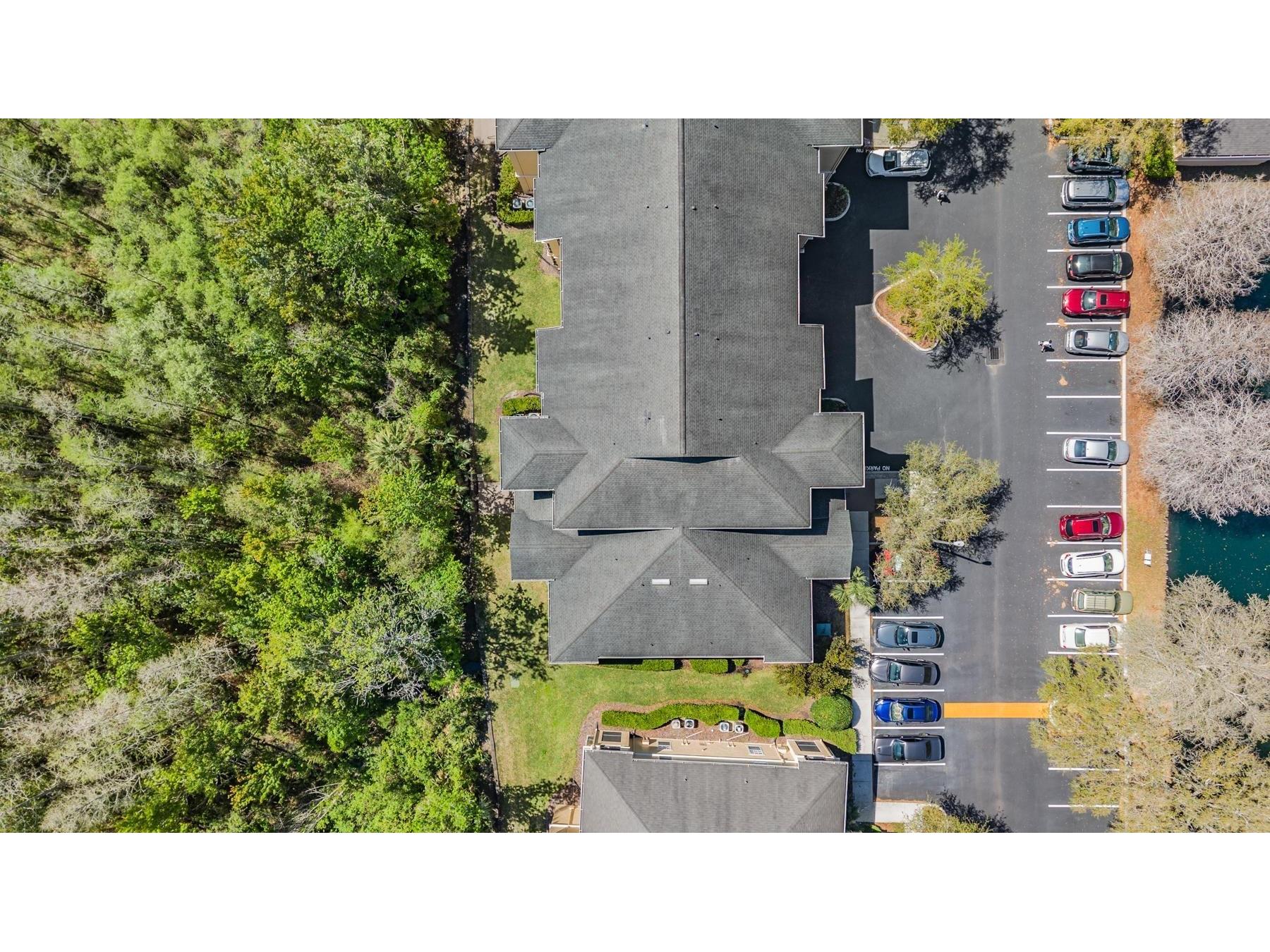 5125 Palm Springs Boulevard #14208 Tampa FL 33647 TB8490339 image32