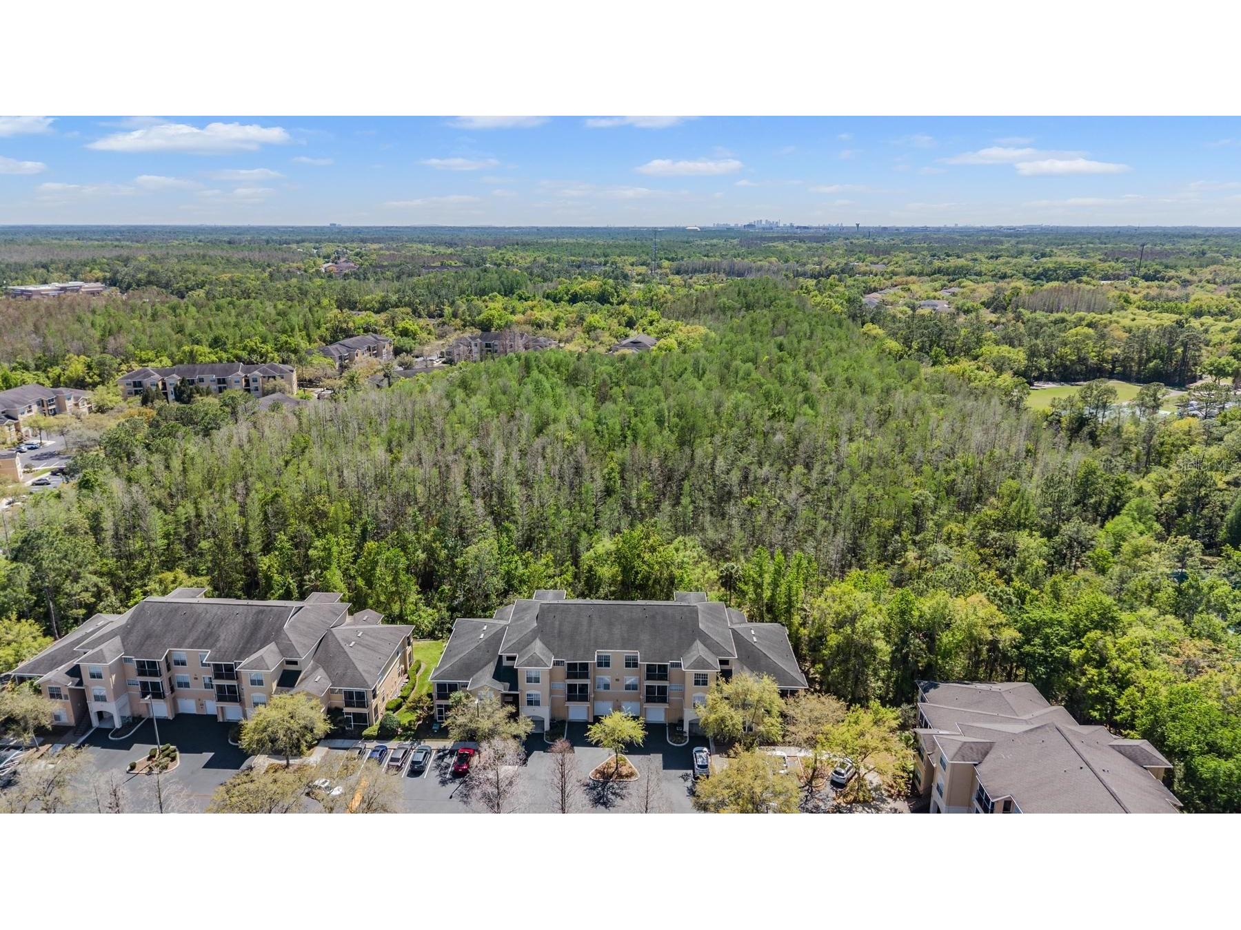 5125 Palm Springs Boulevard #14208 Tampa FL 33647 TB8490339 image34