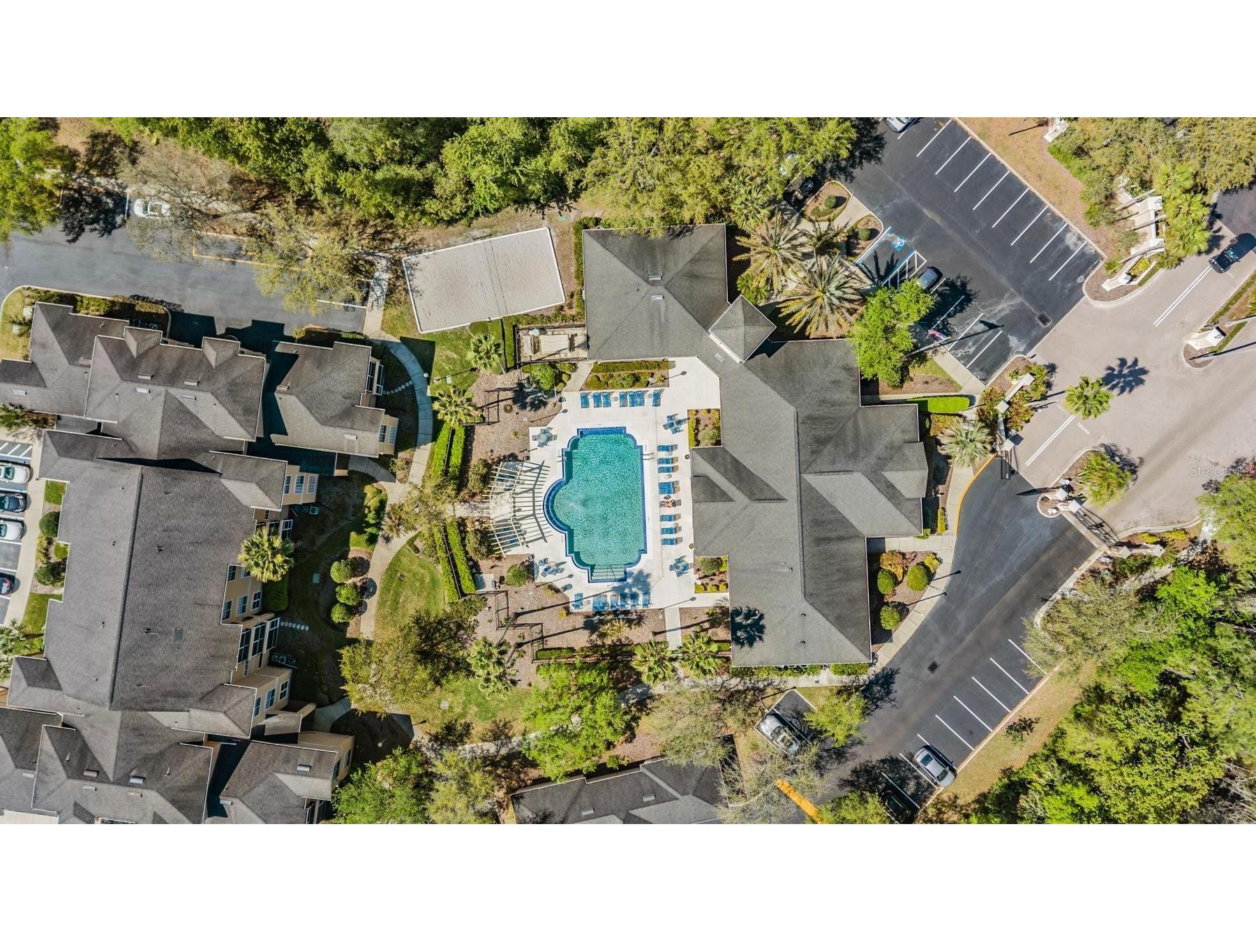 5125 Palm Springs Boulevard #14208 Tampa FL 33647 TB8490339 image38