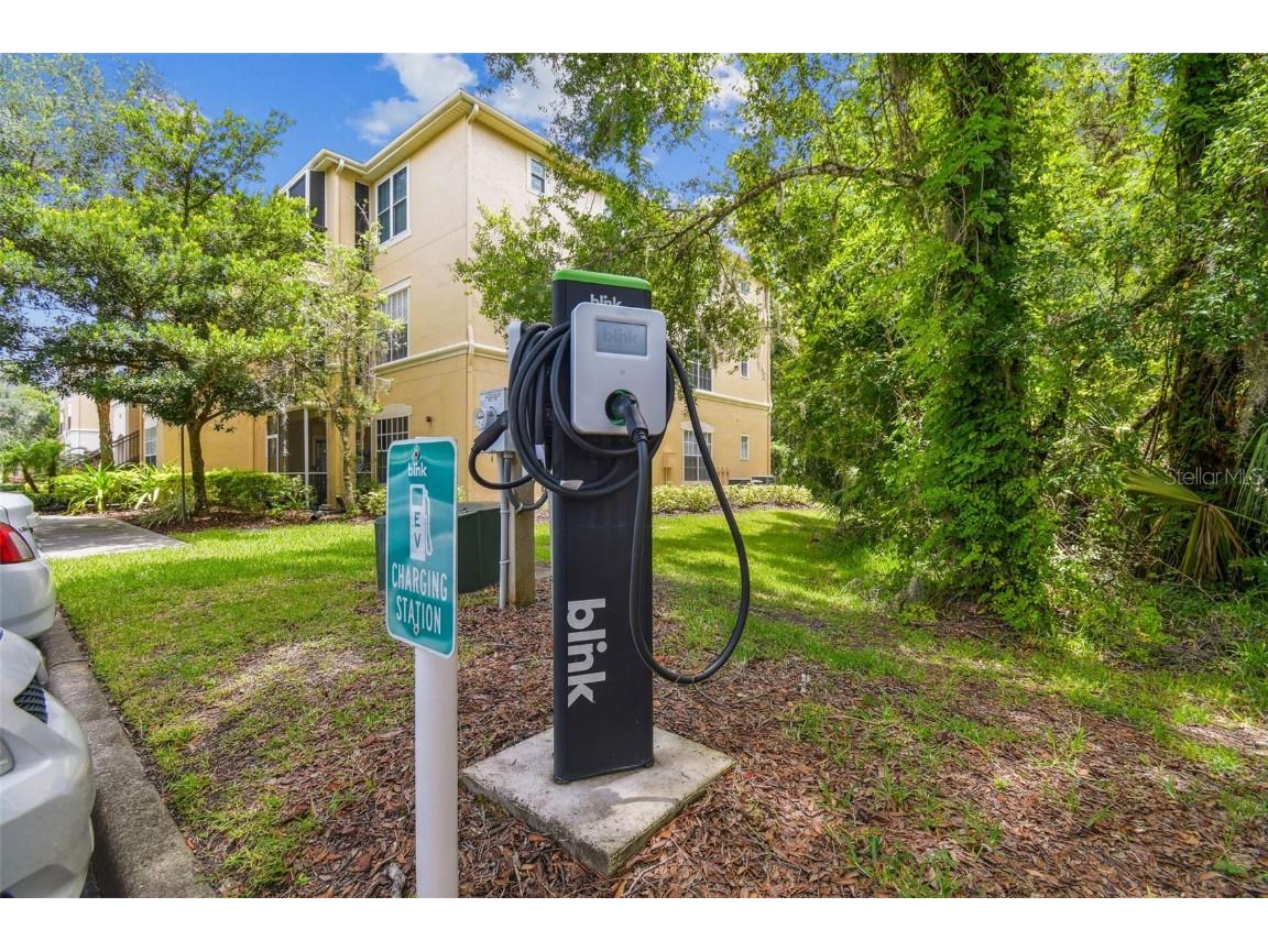 5125 Palm Springs Boulevard #3302 Tampa FL 33647 TB8447379 image30