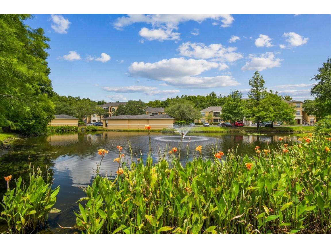 5125 Palm Springs Boulevard #3302 Tampa FL 33647 TB8447379 image32