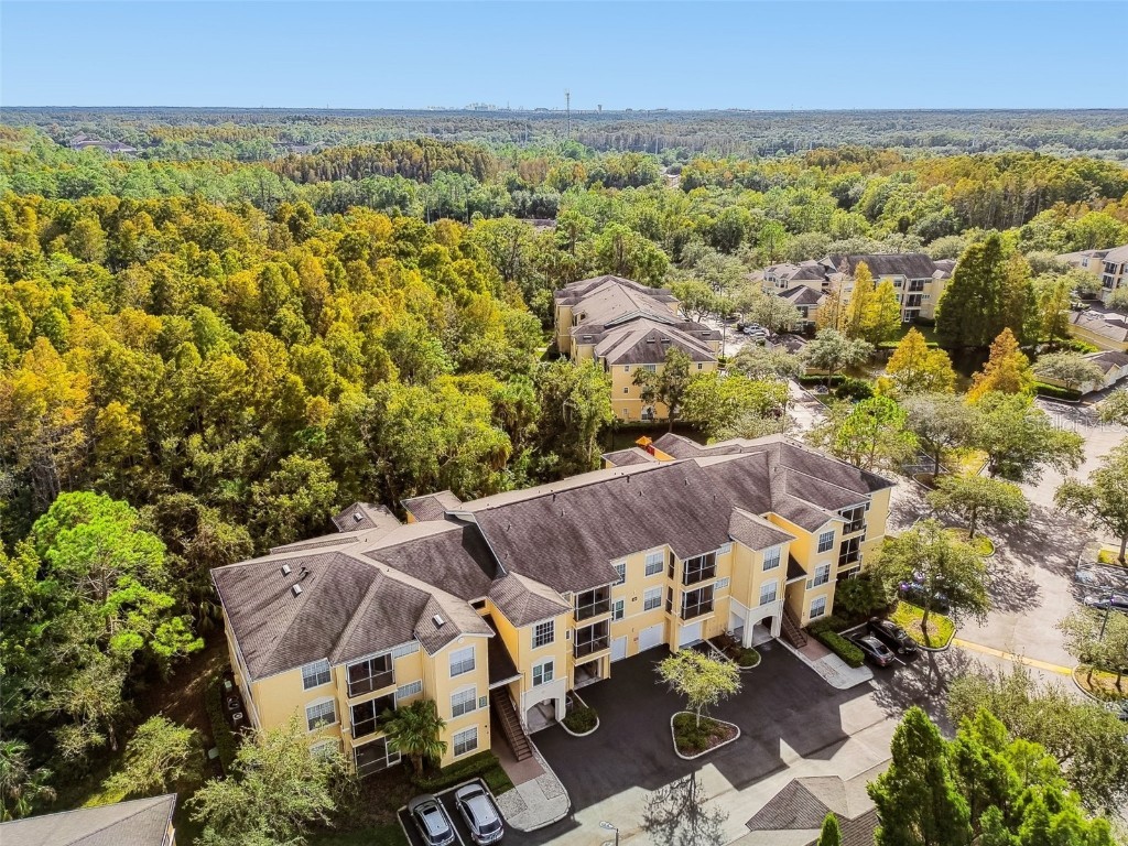 5125 Palm Springs Boulevard #3302 Tampa FL 33647 TB8447379 image33