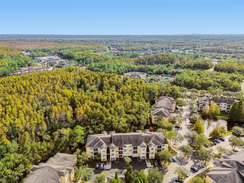 5125 Palm Springs Boulevard #3302 Tampa FL 33647 TB8447379 image34