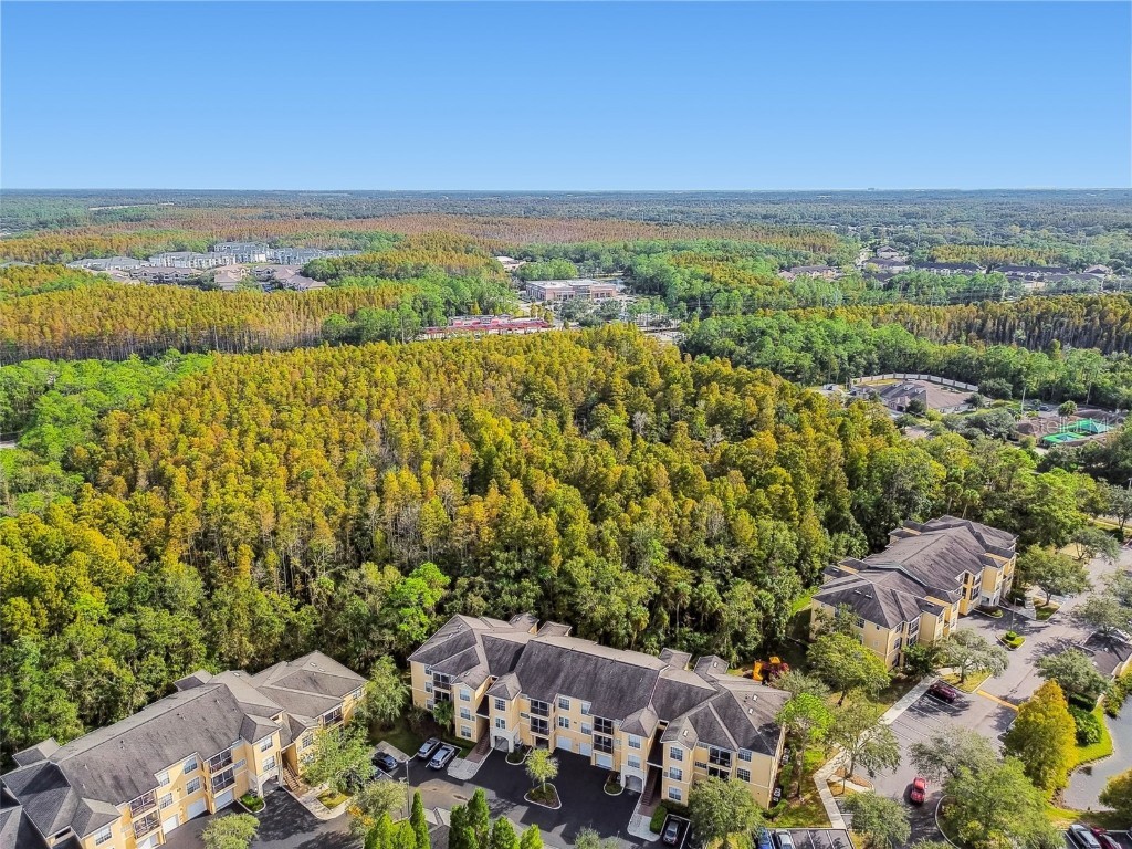 5125 Palm Springs Boulevard #3302 Tampa FL 33647 TB8447379 image35