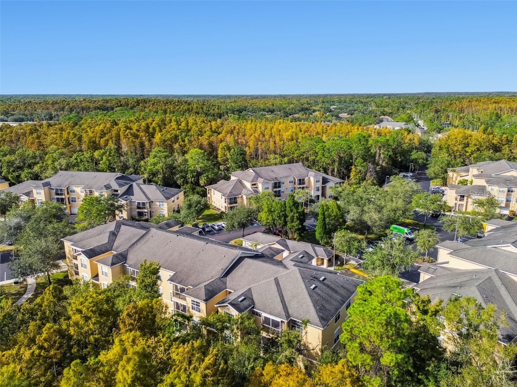 5125 Palm Springs Boulevard #3302 Tampa FL 33647 TB8447379 image38