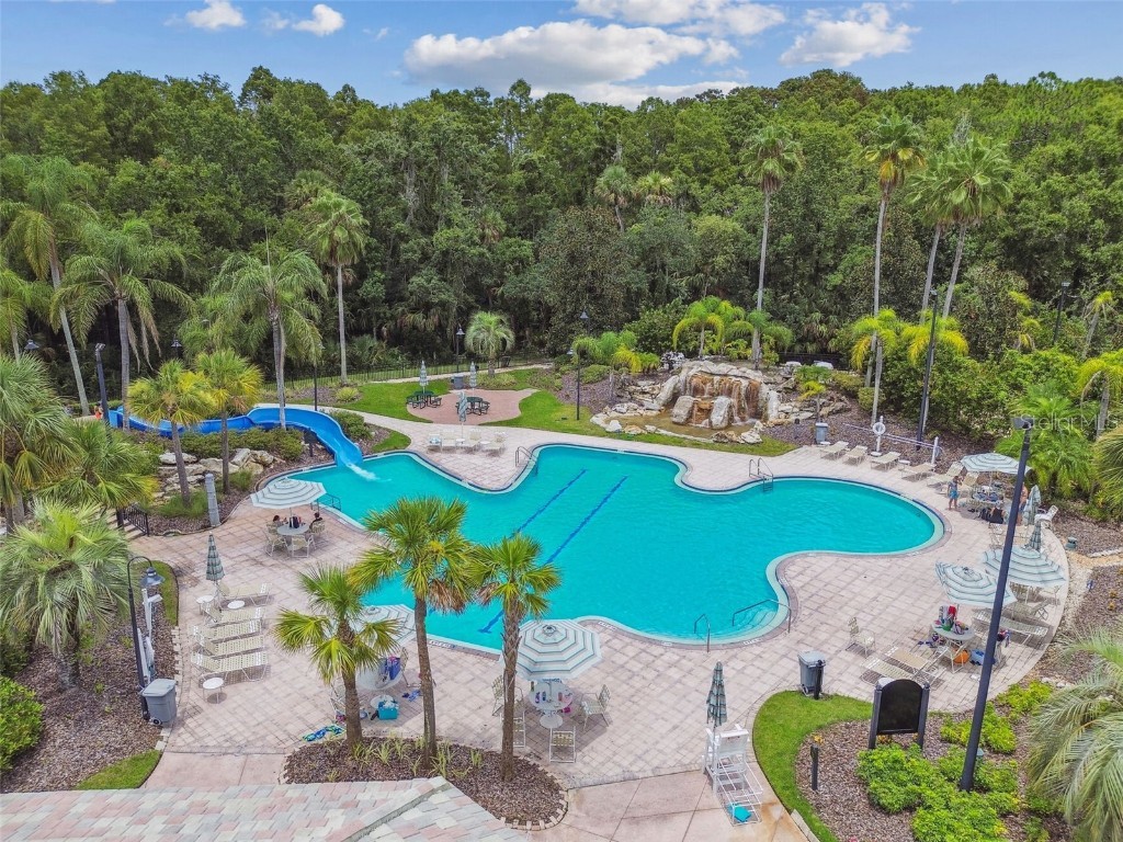 5125 Palm Springs Boulevard #3302 Tampa FL 33647 TB8447379 image48