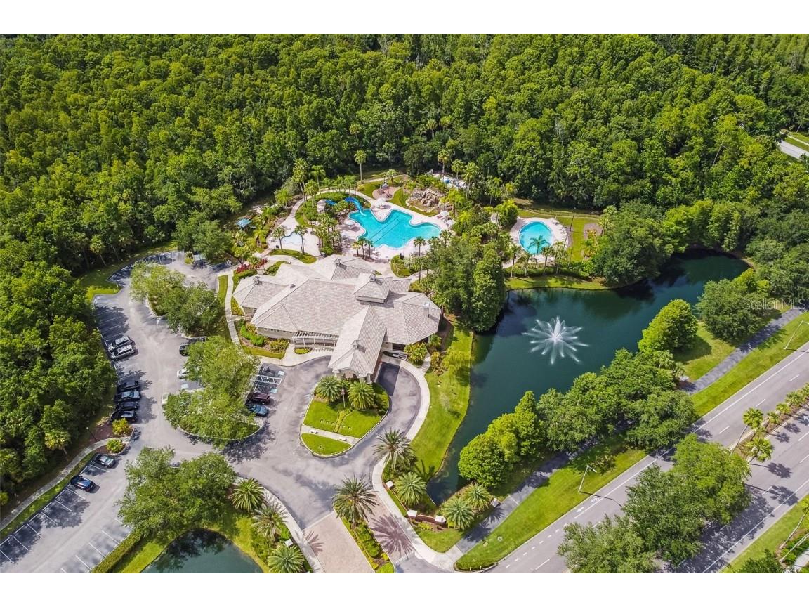 5125 Palm Springs Boulevard #3302 Tampa FL 33647 TB8447379 image58