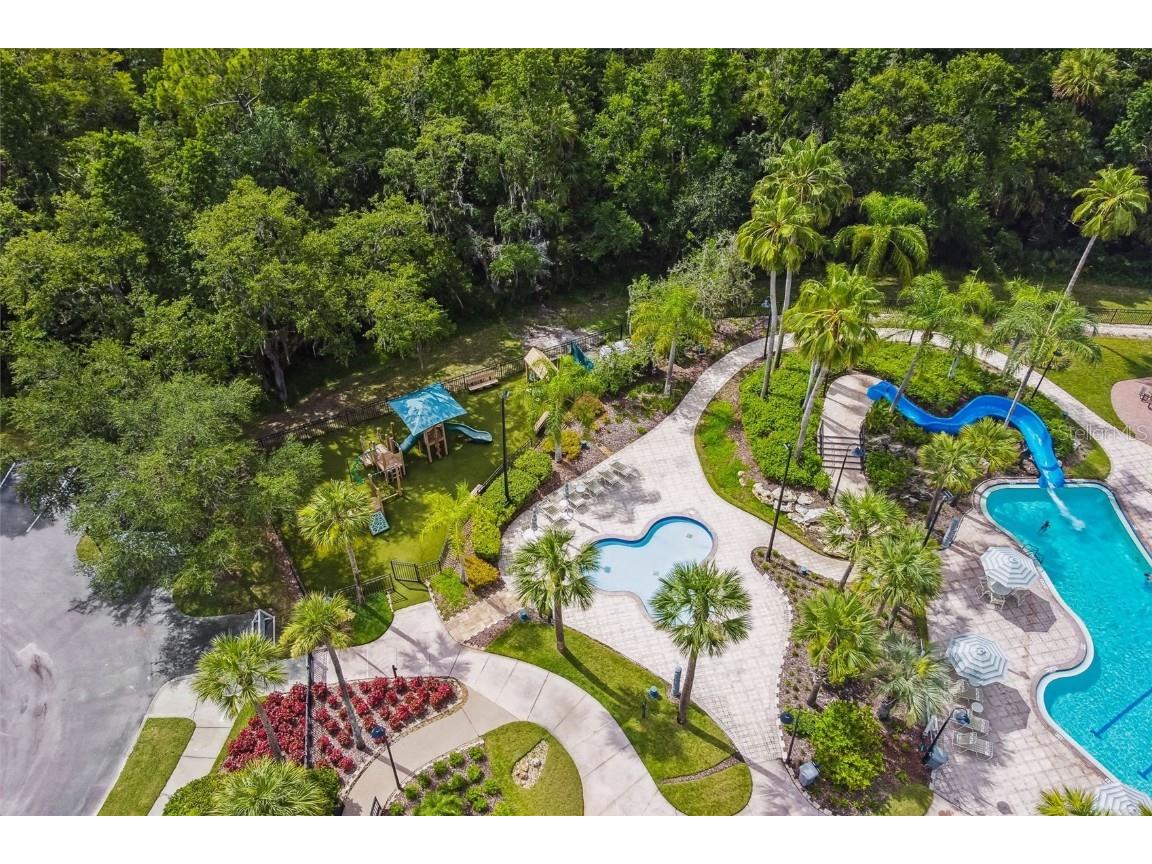 5125 Palm Springs Boulevard #3302 Tampa FL 33647 TB8447379 image61