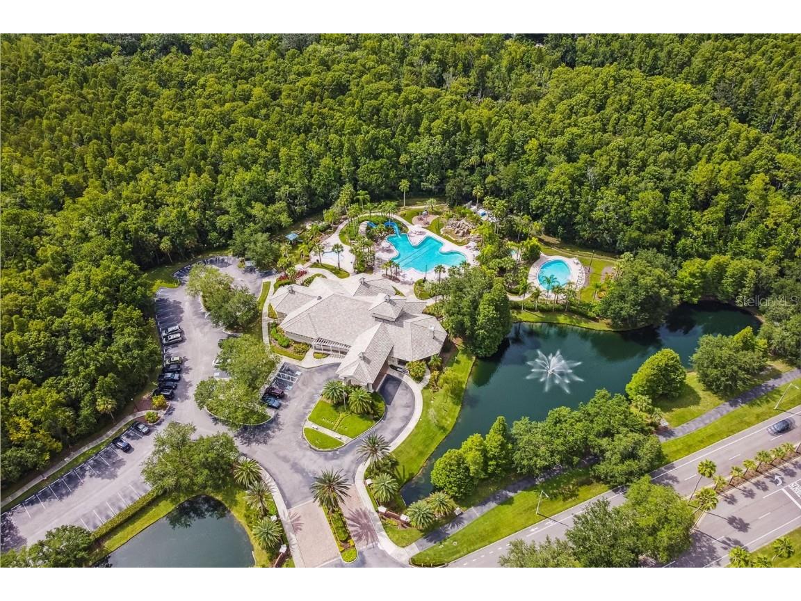 5125 Palm Springs Boulevard #3302 Tampa FL 33647 TB8447379 image62