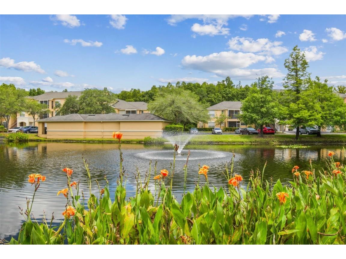 5125 Palm Springs Boulevard #3302 Tampa FL 33647 TB8447379 image94