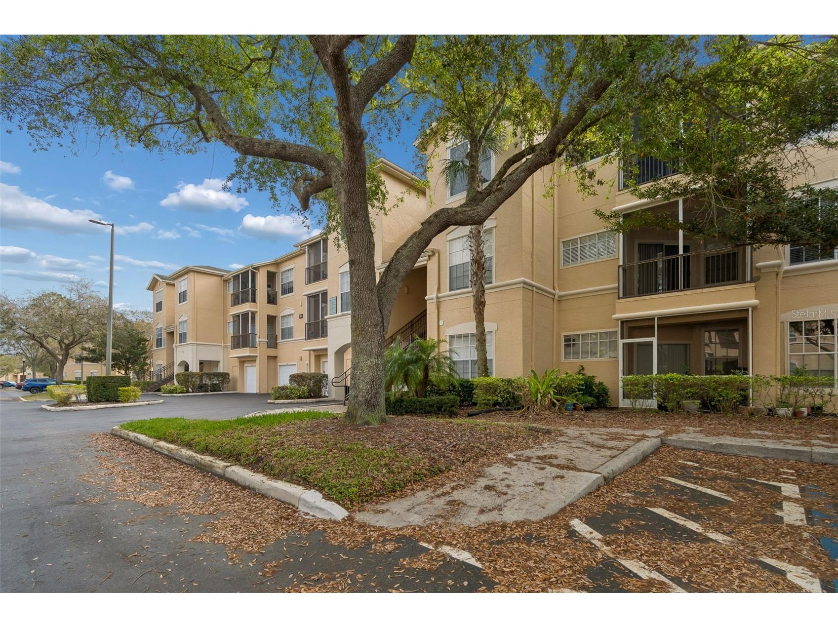 5125 Palm Springs Boulevard #4305 Tampa FL 33647 TB8484265 image37
