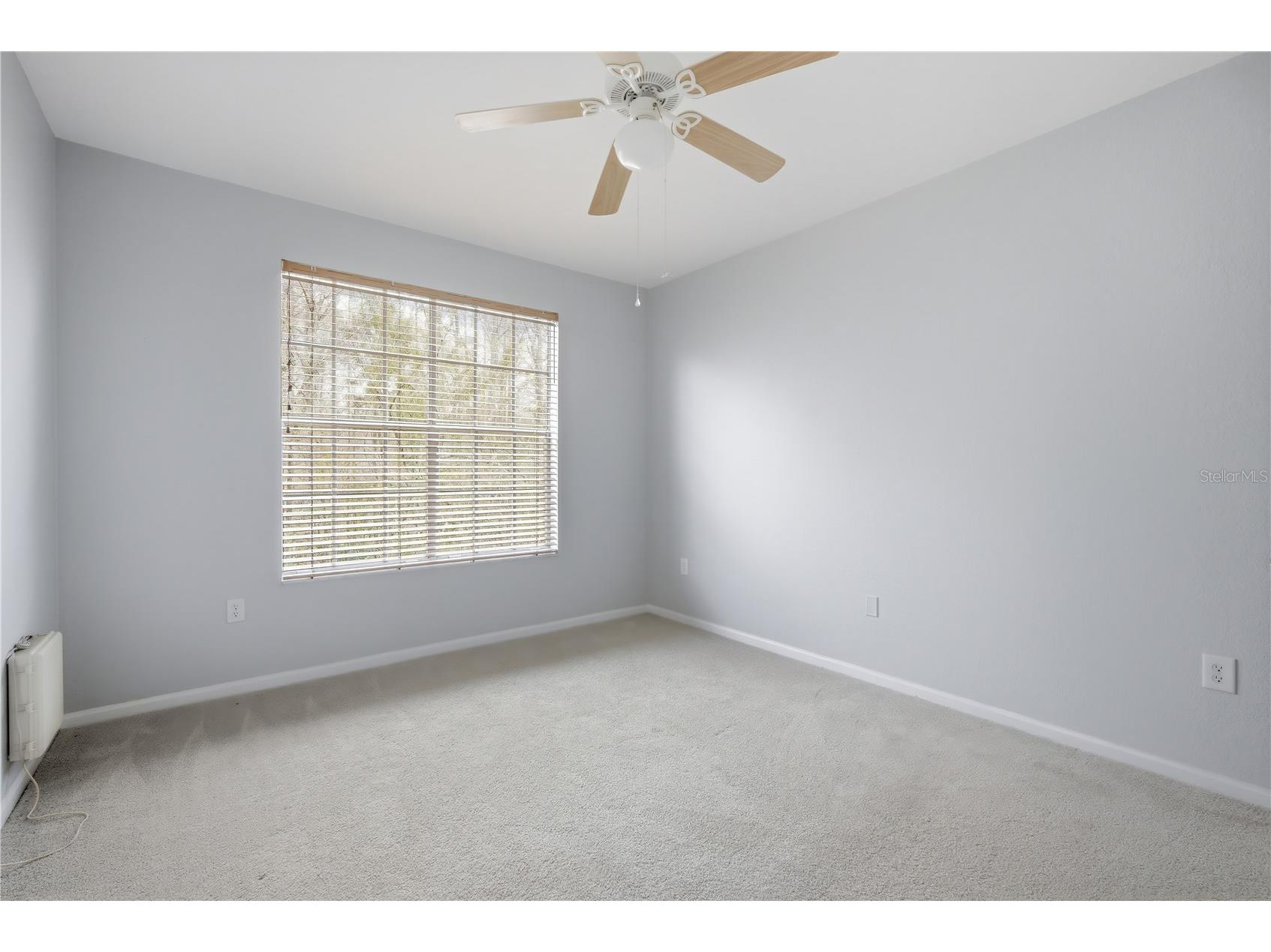 5125 Palm Springs Boulevard #4308 Tampa FL 33647 TB8478753 image20