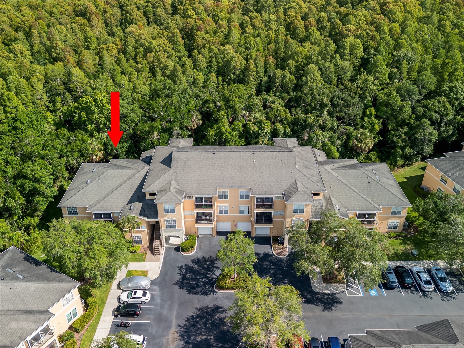 5125 Palm Springs Boulevard #7108 Tampa FL 33647 TB8514409 image2