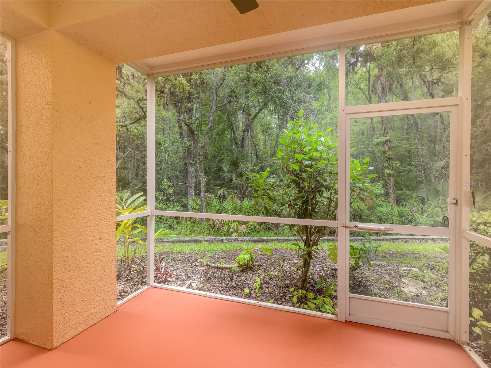 5125 Palm Springs Boulevard #7108 Tampa FL 33647 TB8514409 image31